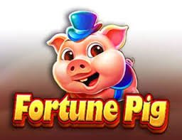 appsgame VIP အစီအစဉ် Myanmar ကစားသမား Cashback bonus rewards ရရှိနေသည်
